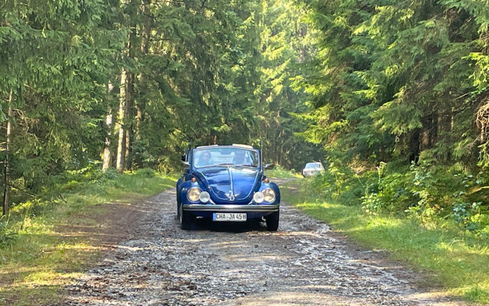 VW Käfer Oldtimer